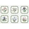 Portmeirion Botanic Garden Coasters 10.5 x 10.5cm (Set of 6)