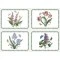 Portmeirion Botanic Garden Large Placemats 40.1 x 29cm (Set of 4)