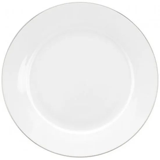 Royal Worcester Serendipity Platinum Plates 20.3cm (Set of 4)