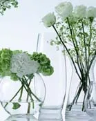 Vases