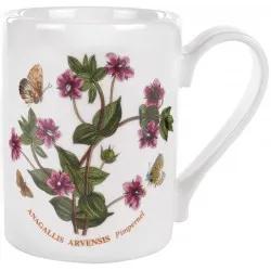 Portmeirion Botanic Garden Coffee Mugs (Box of 6) Assorted Flowers