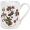 Portmeirion Botanic Garden Coffee Mugs (Box of 6) Assorted Flowers