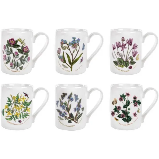 Portmeirion Botanic Garden Coffee Mugs (Box of 6) Assorted Flowers